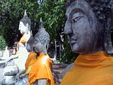 Thailand Gallery Image 27